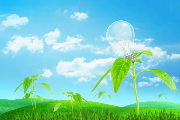 3d rendering of wide green field under blue sky with a small young plant growing with a lamp as its fruit. — Stock Photo, Image