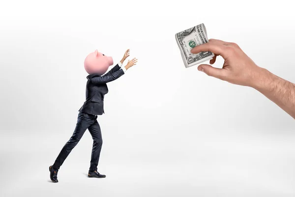 Geschäftsmann mit Sparschwein, das nach einem Bündel Dollars in der Hand greift, isoliert auf weißem Hintergrund — Stockfoto