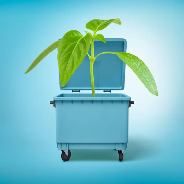 3d rendering of a green sprout growing in a blue trash can. — Stock Photo, Image