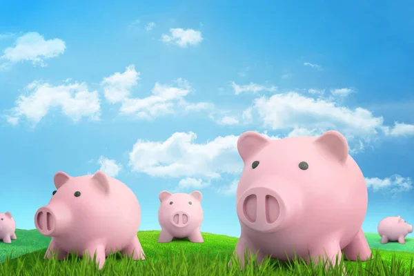 3D-rendering av flera rosa piggy banker på grön solbelyst äng under blå himmel med vita moln. — Stockfoto