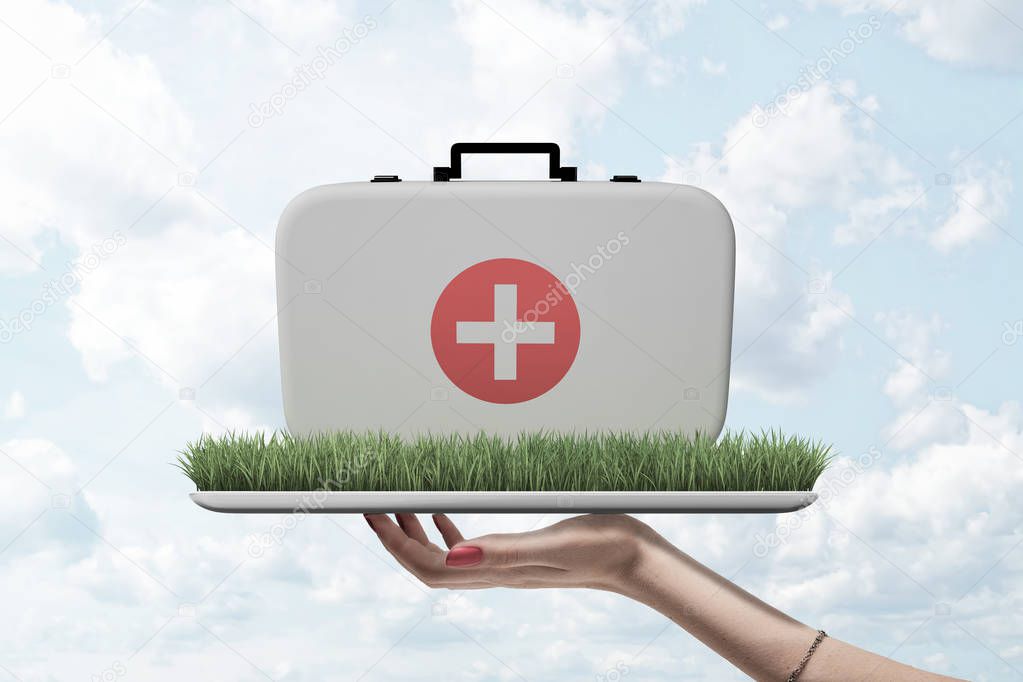 Side view of womans hand holding tray with patch of green grass on it with doctors case on top against cloudy sky.