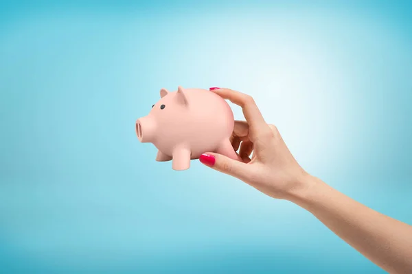 Vrouwelijke hand houden kleine roze Piggy Bank tussen haar vingers op blauwe achtergrond — Stockfoto