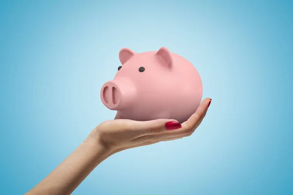 Vrouwelijke hand holding roze Piggy Bank op blauwe achtergrond — Stockfoto