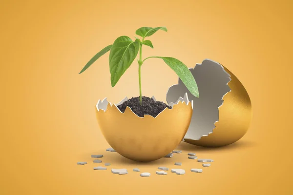 3d rendering of small green sprout growing from black soil in golden shell of golden egg that just hatched. — Stock Photo, Image