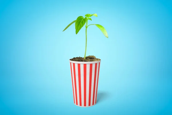 3d rendering of green sprout growing in popcorn bucket on blue background — Stock Photo, Image