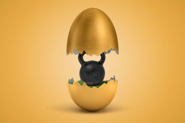3 boyutlu altın yumurtası ikiye bölünmüş, üst yarısı havada havaya yükselmiş, siyah 24 kg 'lık kettlebell yeşil çimlerin üzerinde, alt yarısında..
