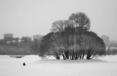 Fotoğraf kontrast kış manzara ağaçlar Park ile
