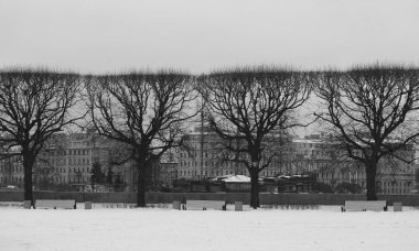 Şehrin üzerinde Neva kışın güzel siyah ağaçlar fotoğraf