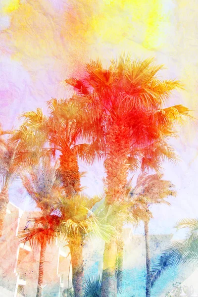 岛上棕榈树的美丽复古背景照片 — 图库照片