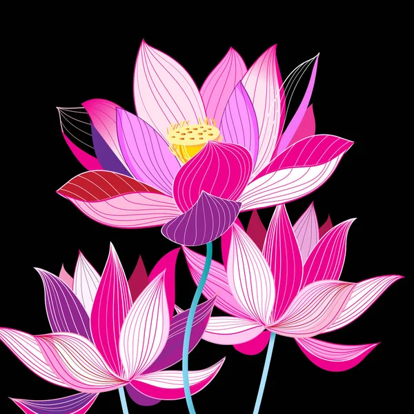 Magnifique Illustration Beaux Lotus Sur Fond Sombre Exemple Pour Carte — Image vectorielle