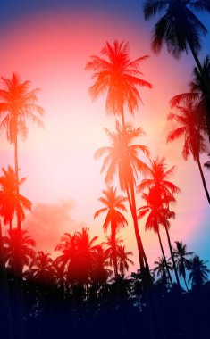 Güneşli bir adada parlak tropikal Hindistan cevizi avuç içi fotoğrafı