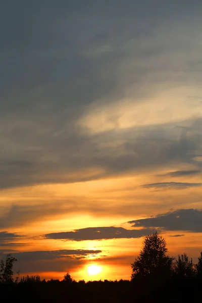 Фото Літнього Сільського Пейзажу Заходом Сонця Над Лісом — стокове фото