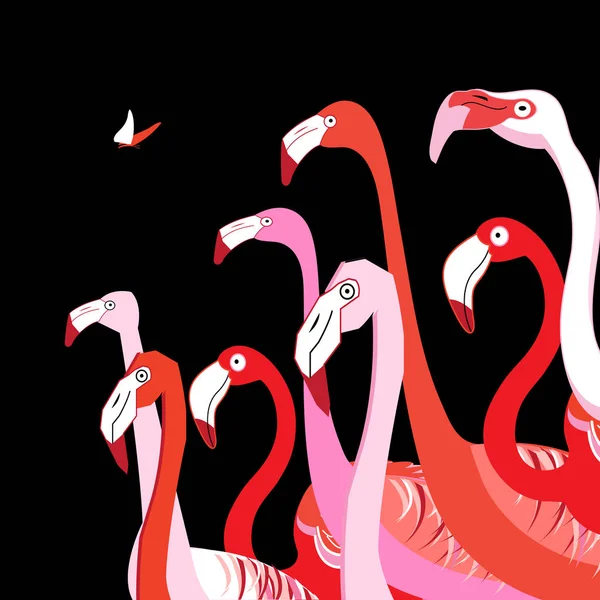 Rote Flamingos Und Ein Schmetterling Auf Dunklem Hintergrund — Stockvektor