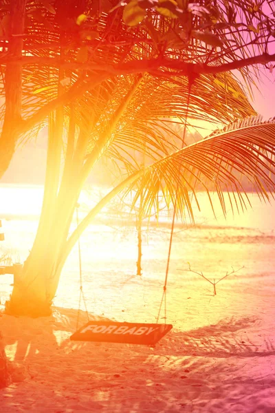 Фото Яскравих Тропічних Кокосових Паль Сонячному Острові — стокове фото