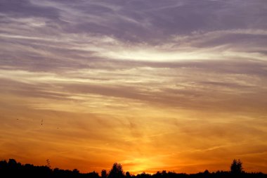 Yaz akşamları bulutlu bir alanın üzerinde parlak bir günbatımı güzel fotoğraf