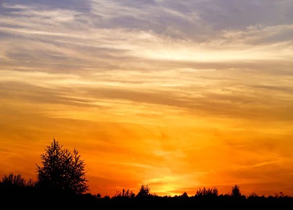 Bela Foto Pôr Sol Brilhante Com Nuvens Sobre Campo Noite — Fotografia de Stock