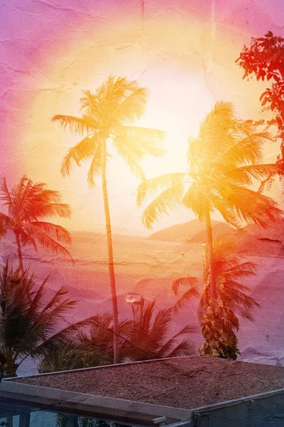Zdjęcie z jasnym tropikalne palmy kokosowe — Zdjęcie stockowe
