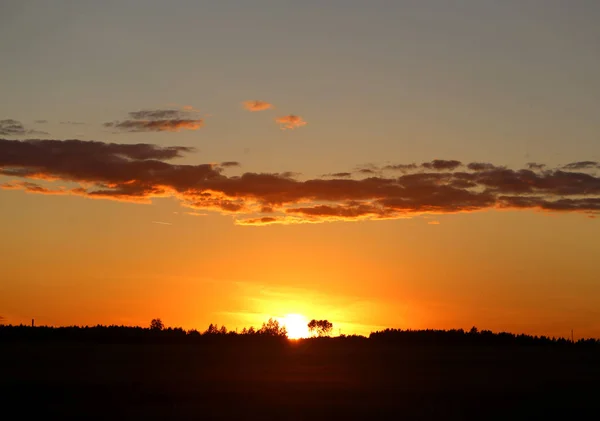 Красива Фотографія Яскравого Заходу Сонця Хмарами Над Полем Літній Вечір — стокове фото