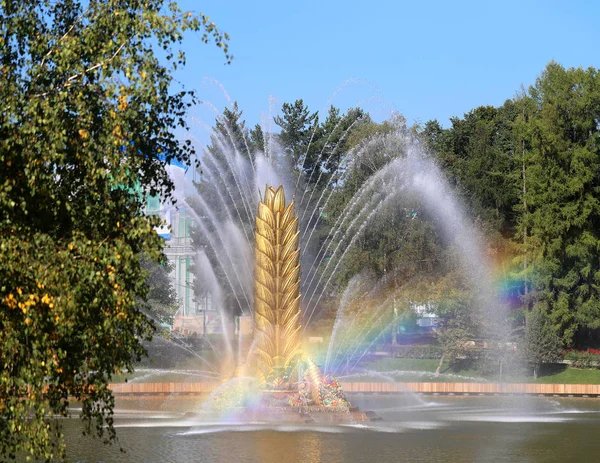 一个美丽的宏观喷泉 Vdnh 莫斯科的照片 — 图库照片