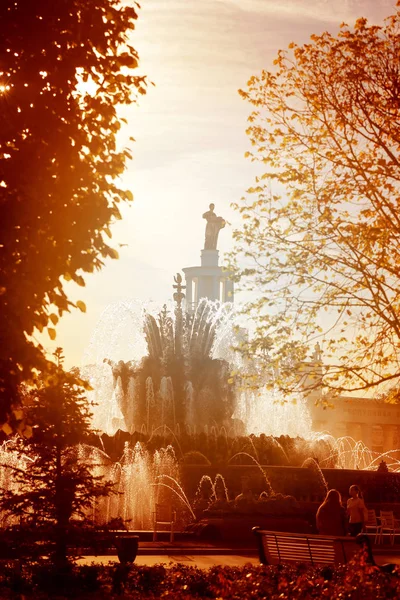 Foto Van Een Mooie Macro Fontein Moskou Het Park Wordt — Stockfoto