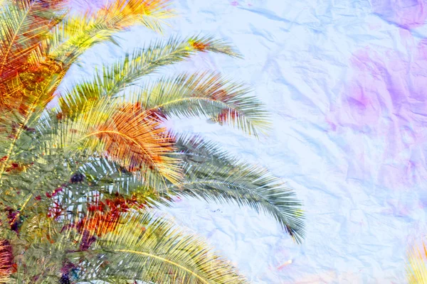 Ретро Фото Ярких Тропических Пальм Солнечном Острове — стоковое фото