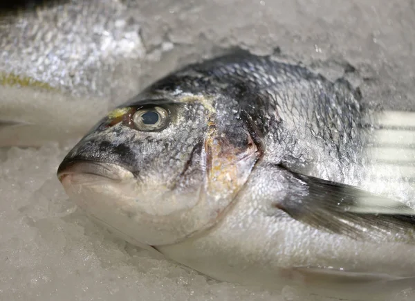 Fondo Foto Primer Plano Delicioso Pescado Hielo Mostrador Tienda — Foto de Stock