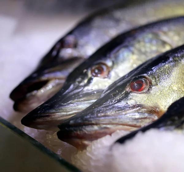 Kirakatba Gyönyörű Piros Ízletes Halételek Makró Fotó — Stock Fotó