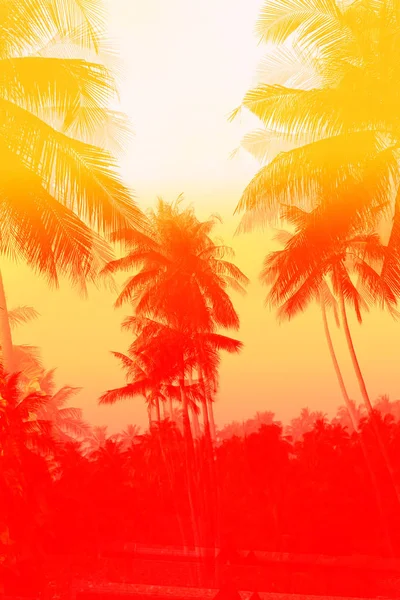 Bright Photo Watercolor Retro Nature Palm Trees Exotic Tropics — Stock Photo, Image