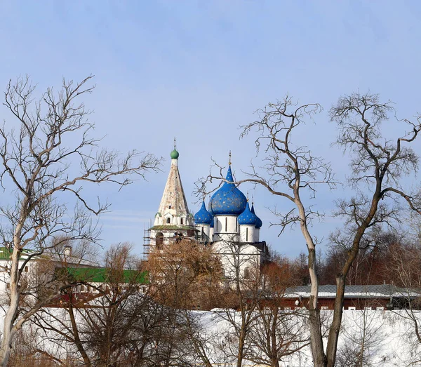 Foto Landschap Soezdal Kremlin Kerst Kathedraal Achtergrond Met Bomen Winter — Stockfoto
