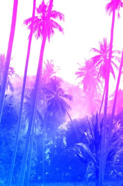 Parlak renkli tropikal alışılmadık palmiye ağaçları Illustration. Rüya Adası.