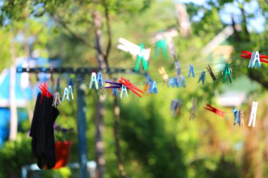 Kırsal alanda çalılar ve ağaçlar ile bahar arka plan fotoğrafı