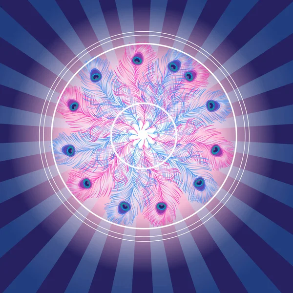 Bel élément lumineux fantastique de plumes en cercle — Image vectorielle