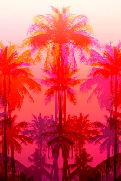 Photo background of exotic beautiful palm trees — Stock Photo, Image