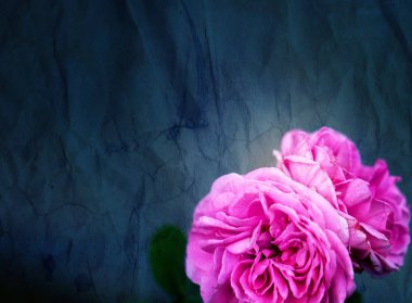 Muhteşem retro fotoğraf arka plan süper güller