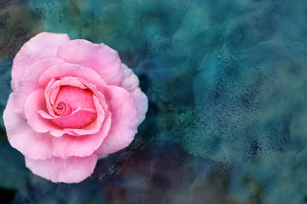 Hermosa foto retro fondo super rosas —  Fotos de Stock