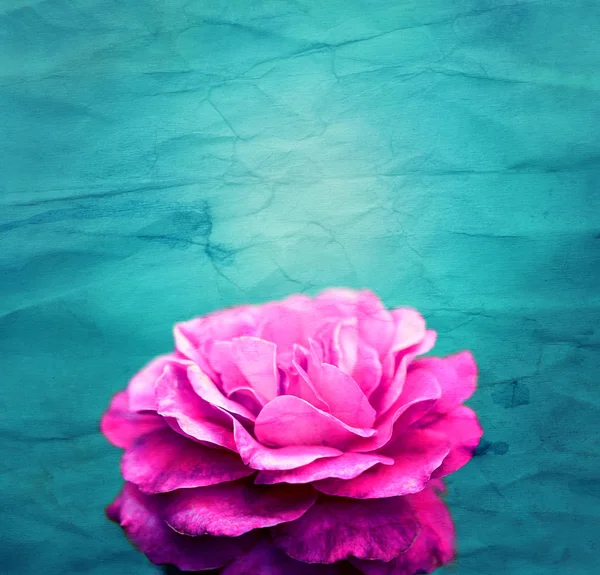 Hermosa foto retro fondo super rosas — Foto de Stock