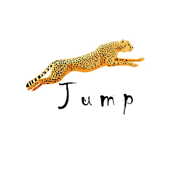Ilustrační vektor bušící symbol gepard izolovaný — Stockový vektor