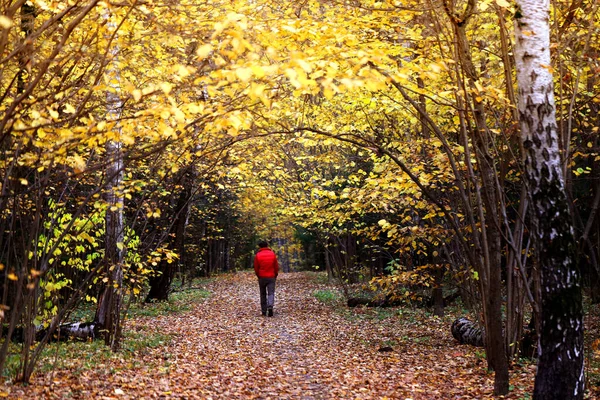 Foto ljusa promenader i en vacker höstpark — Stockfoto