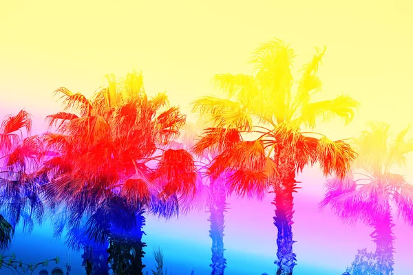 Beautiful Photo Colorful Palm Trees Paradise Island Poster Tourism Site — Stock Photo, Image
