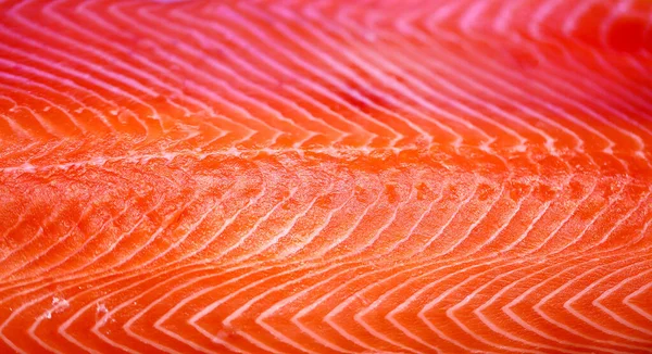 Lezzetli Kırmızı Balığın Güzel Bir Makrosu Bir Balık Ile Bir — Stok fotoğraf