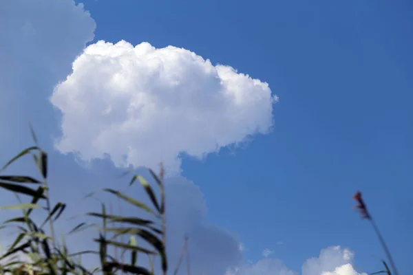 Foto Uma Bela Nuvem Dia Ensolarado Antecedentes Para Site Anúncio — Fotografia de Stock