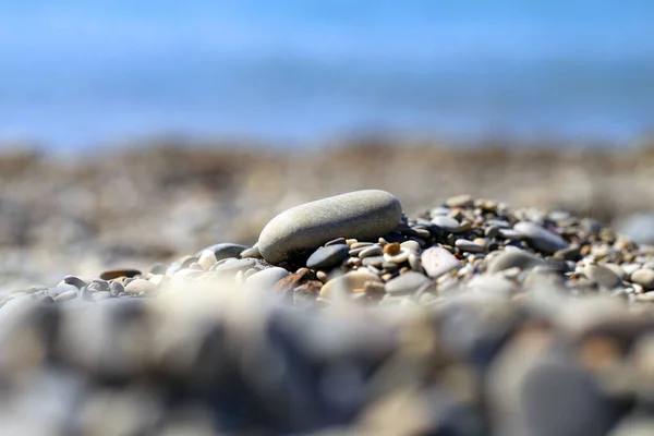 Photo Background Stones Pebbles Sea Beach Sunny Day — Stock Photo, Image