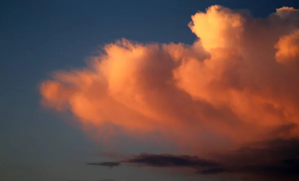 Φωτογραφία Ένα Όμορφο Ροζ Μεγάλο Σύννεφο Ένα Γλάρος Την Αυγή — Φωτογραφία Αρχείου