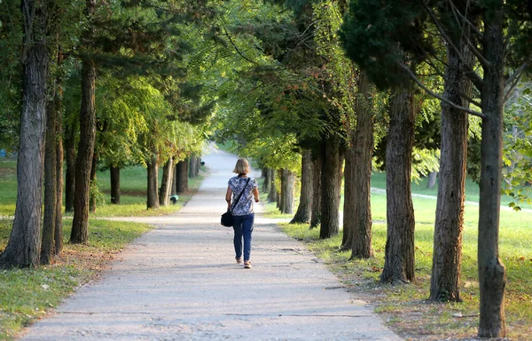 Foto Paisagem Estrada Parque Outubro Passeio — Fotografia de Stock