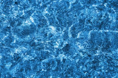 Denizin güzel şeffaf sularının makro fotoğrafı.