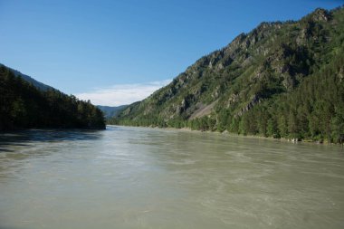 doğanın harika bir dünya