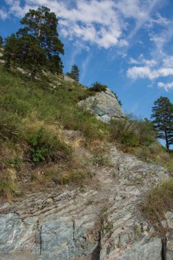 Dünyamızın harika doğa