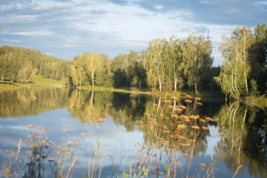 Göl ve orman bizim dünya