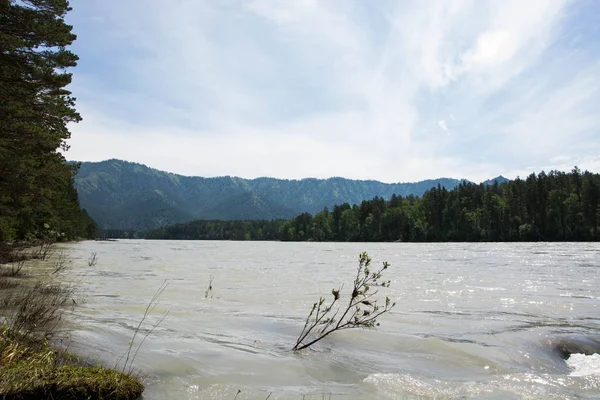 Natureza Maravilhosa Nosso Mundo — Fotografia de Stock