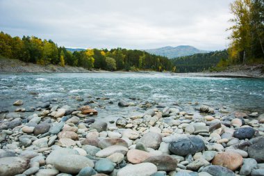 altay'nın güzel doğası
